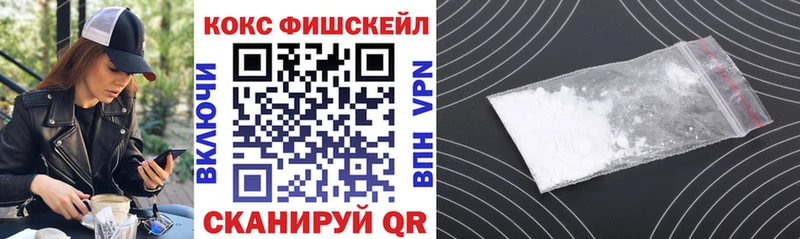 COCAIN Fish Scale  цены   Златоуст 