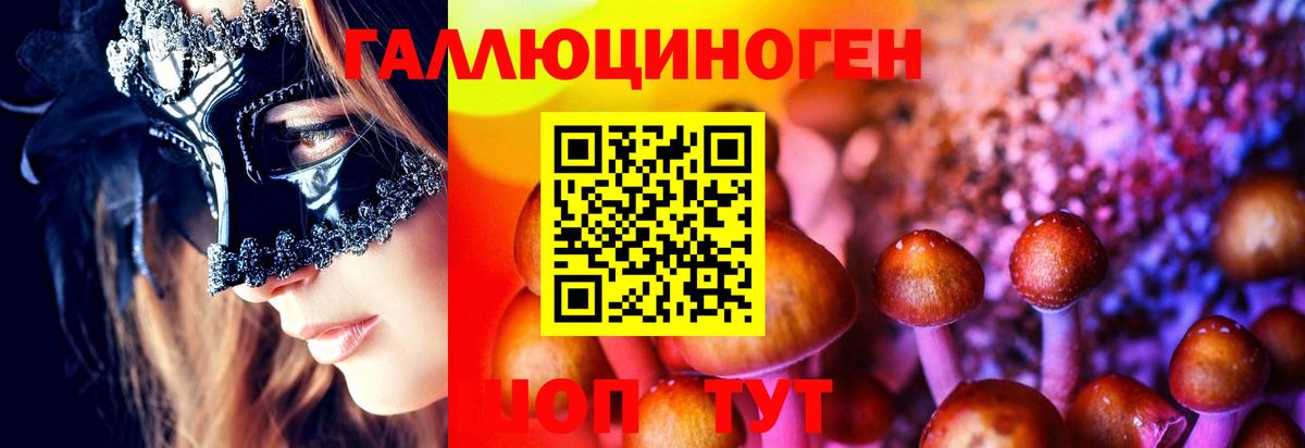 Златоуст  Псилоцибиновые грибы GOLDEN TEACHER  Вход с VPN 